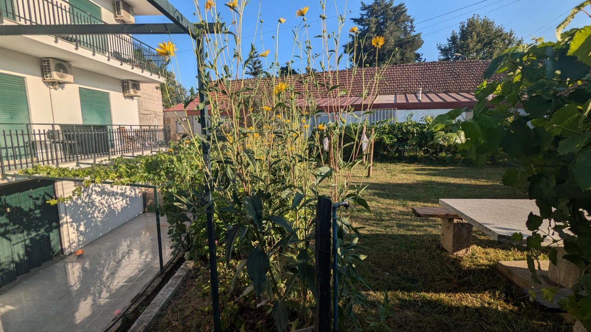 Casa Do Olival Ξενοδοχείο Peso da Régua Εξωτερικό φωτογραφία