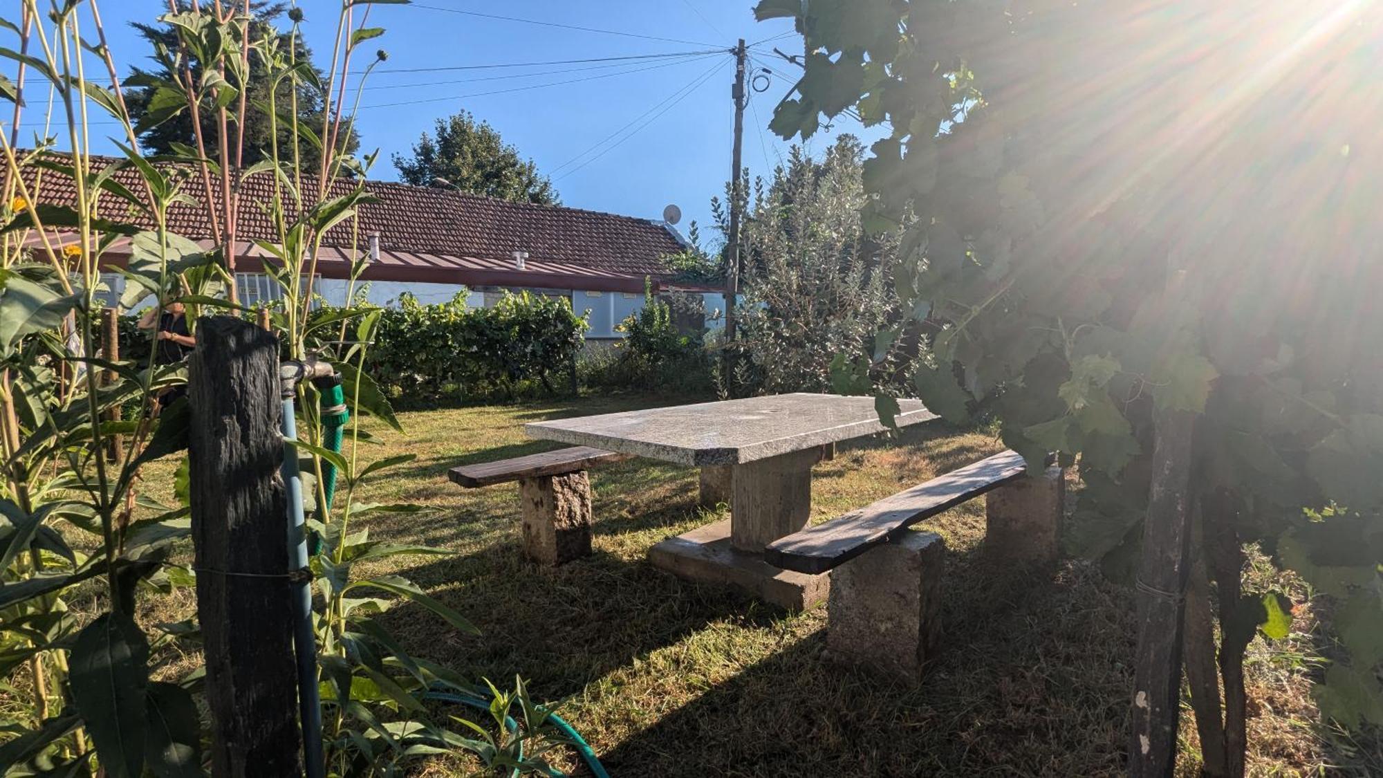 Casa Do Olival Ξενοδοχείο Peso da Régua Εξωτερικό φωτογραφία