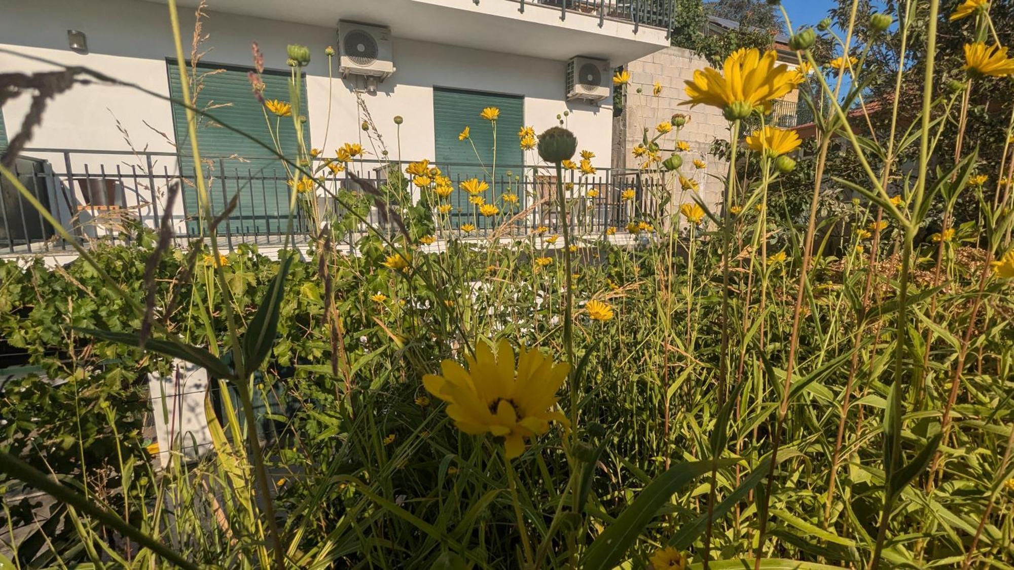 Casa Do Olival Ξενοδοχείο Peso da Régua Εξωτερικό φωτογραφία