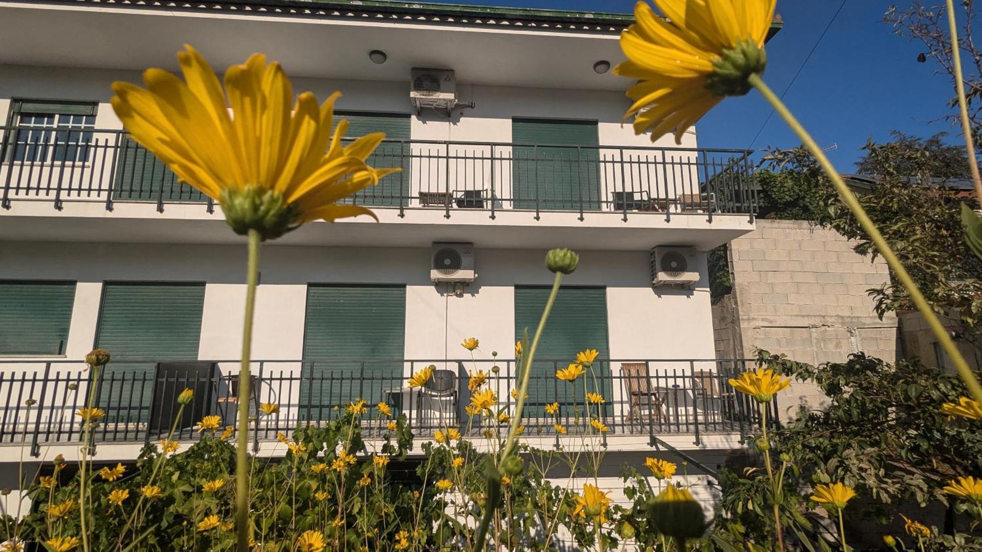 Casa Do Olival Ξενοδοχείο Peso da Régua Εξωτερικό φωτογραφία