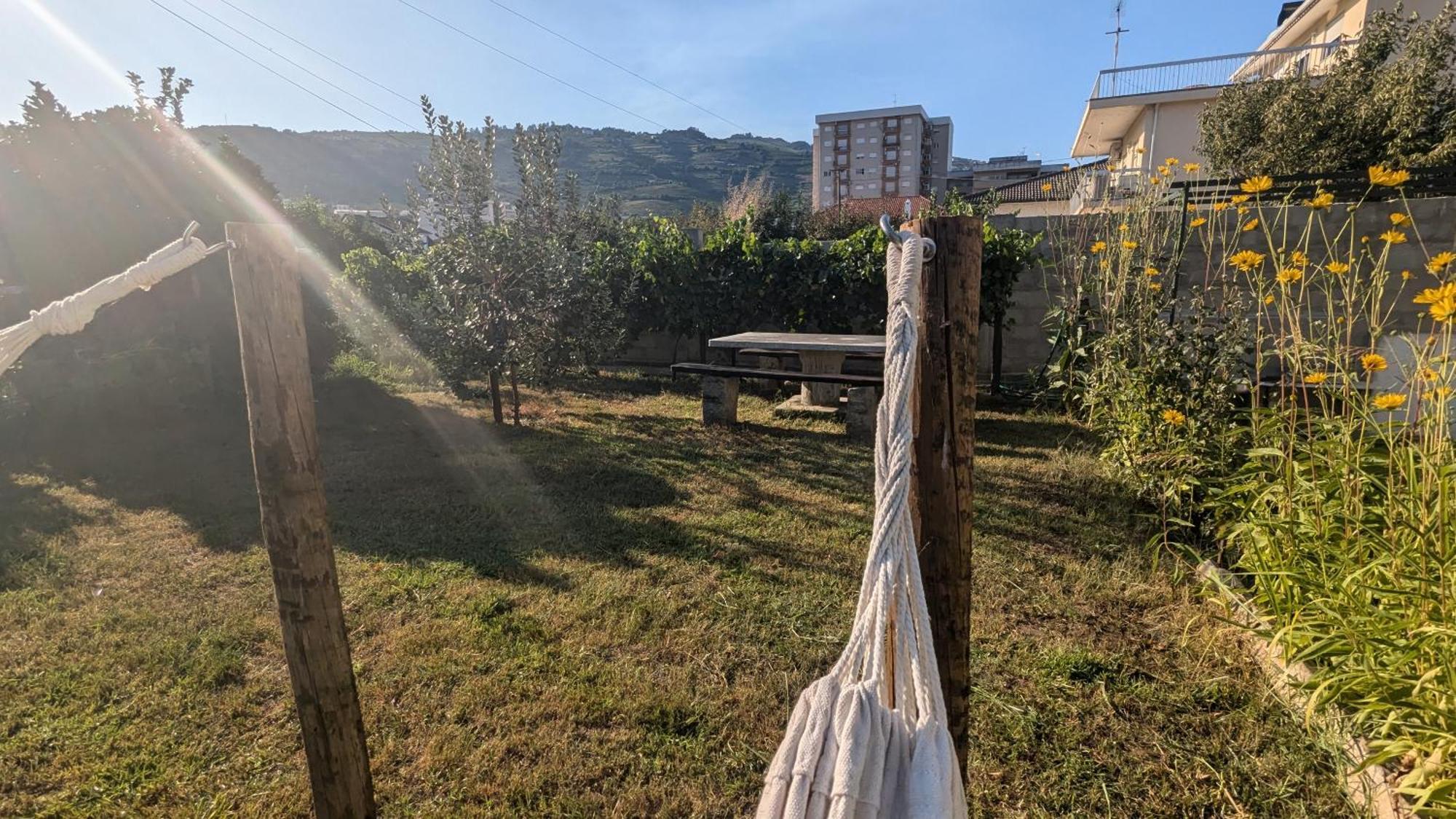 Casa Do Olival Ξενοδοχείο Peso da Régua Εξωτερικό φωτογραφία