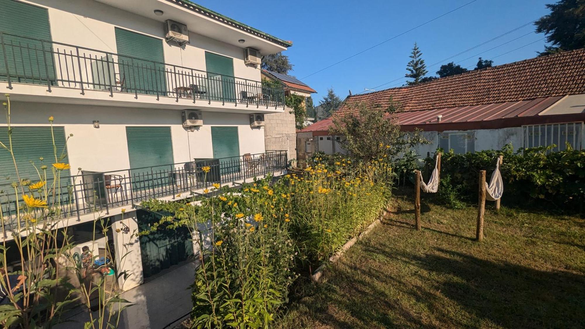 Casa Do Olival Ξενοδοχείο Peso da Régua Εξωτερικό φωτογραφία