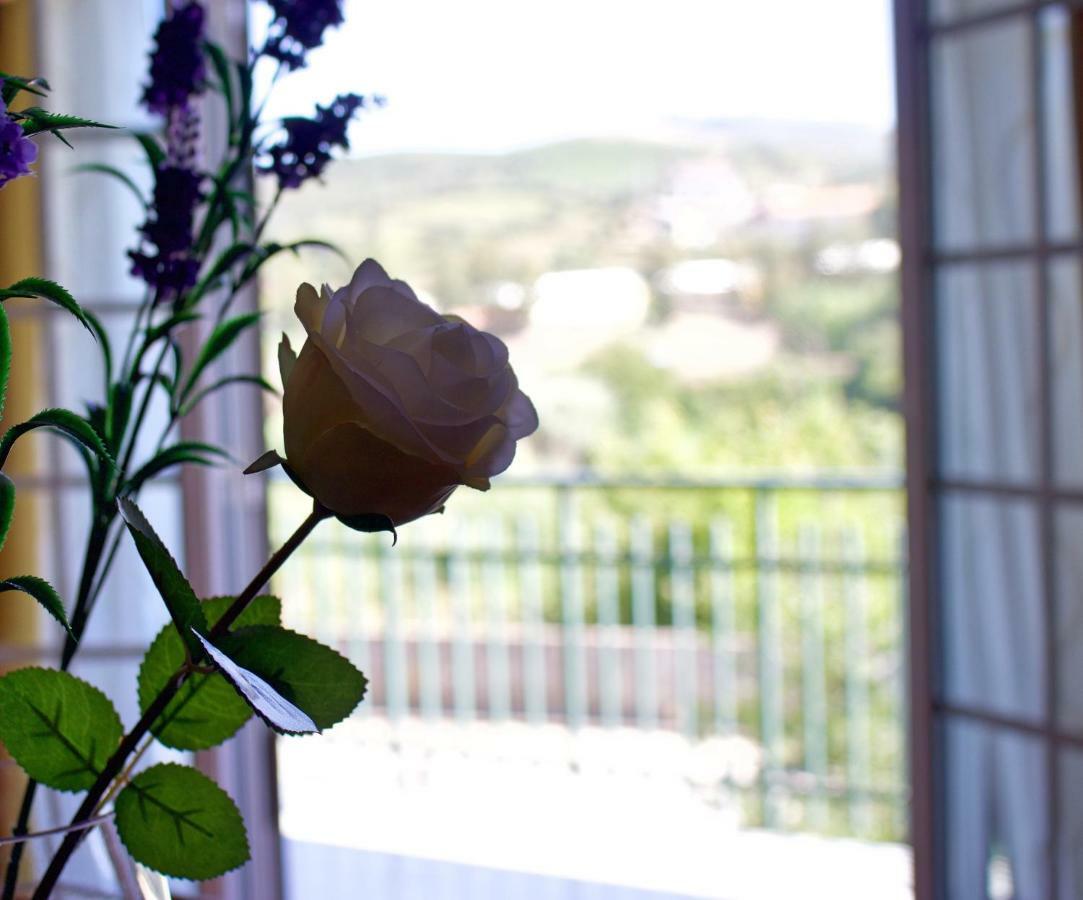 Casa Do Olival Ξενοδοχείο Peso da Régua Εξωτερικό φωτογραφία